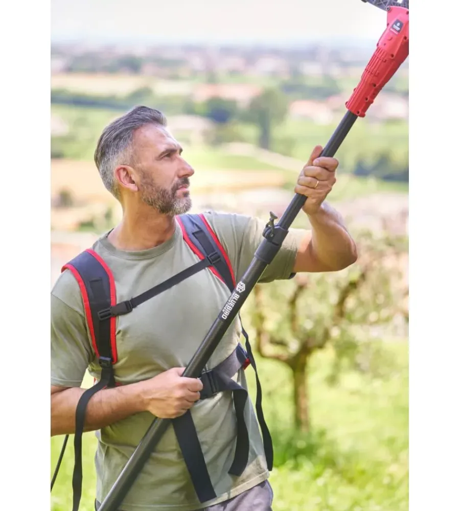 Blue Bird Abbacchiatori|Abbacchiatore olive a batteria bluebird "olimpo 23-56 at" movimento oscillatorio laterale 21v + 3 batterie 21v 5ah + asta telescopica 2,2-3,1 mt