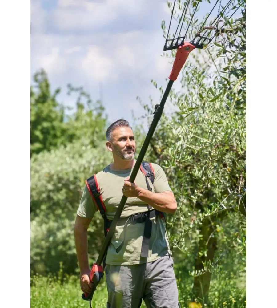 Blue Bird Abbacchiatori|Abbacchiatore olive a batteria bluebird "olimpo 23-56 at" movimento oscillatorio laterale 21v + 3 batterie 21v 5ah + asta telescopica 2,2-3,1 mt