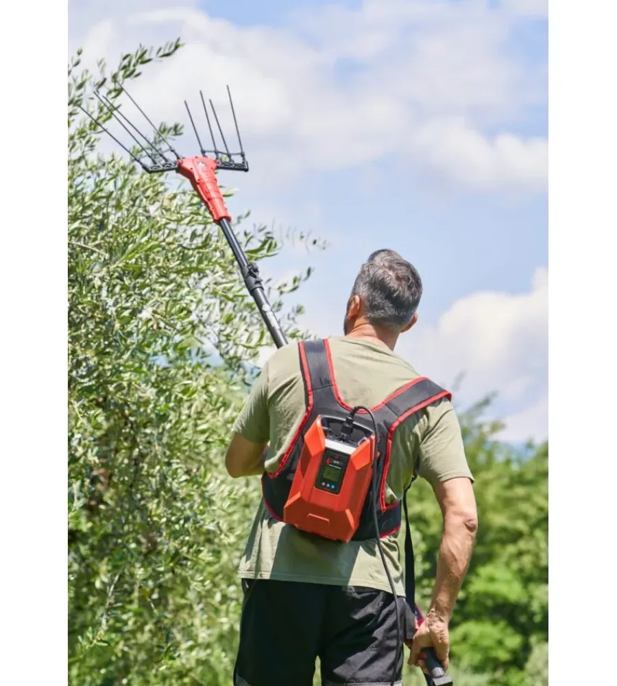 Blue Bird Abbacchiatori|Abbacchiatore olive a batteria bluebird "olimpo 23-56 at" movimento oscillatorio laterale 21v + 3 batterie 21v 5ah + asta telescopica 2,2-3,1 mt
