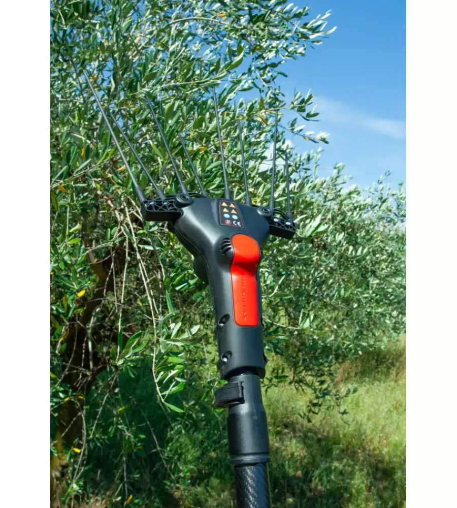 Best Abbacchiatore olive "egeo 23-50 asta fix" con kit batteria e caricabatteria 12v Abbacchiatori
