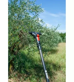 Best Abbacchiatore olive