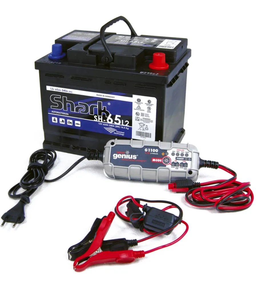 Best Abbacchiatore olive "egeo 23-50 asta fix" con kit batteria e caricabatteria 12v Abbacchiatori