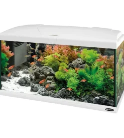 Acquariologia-Ferplast Acquario capri 80 bianco con led - 80 x 31.5 x h 46.5 cm, 100 l -