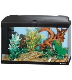 Acquariologia-Ferplast Acquario capri 60 nero con led - 60 x 31.5 x h 39.5 cm, 60 l -