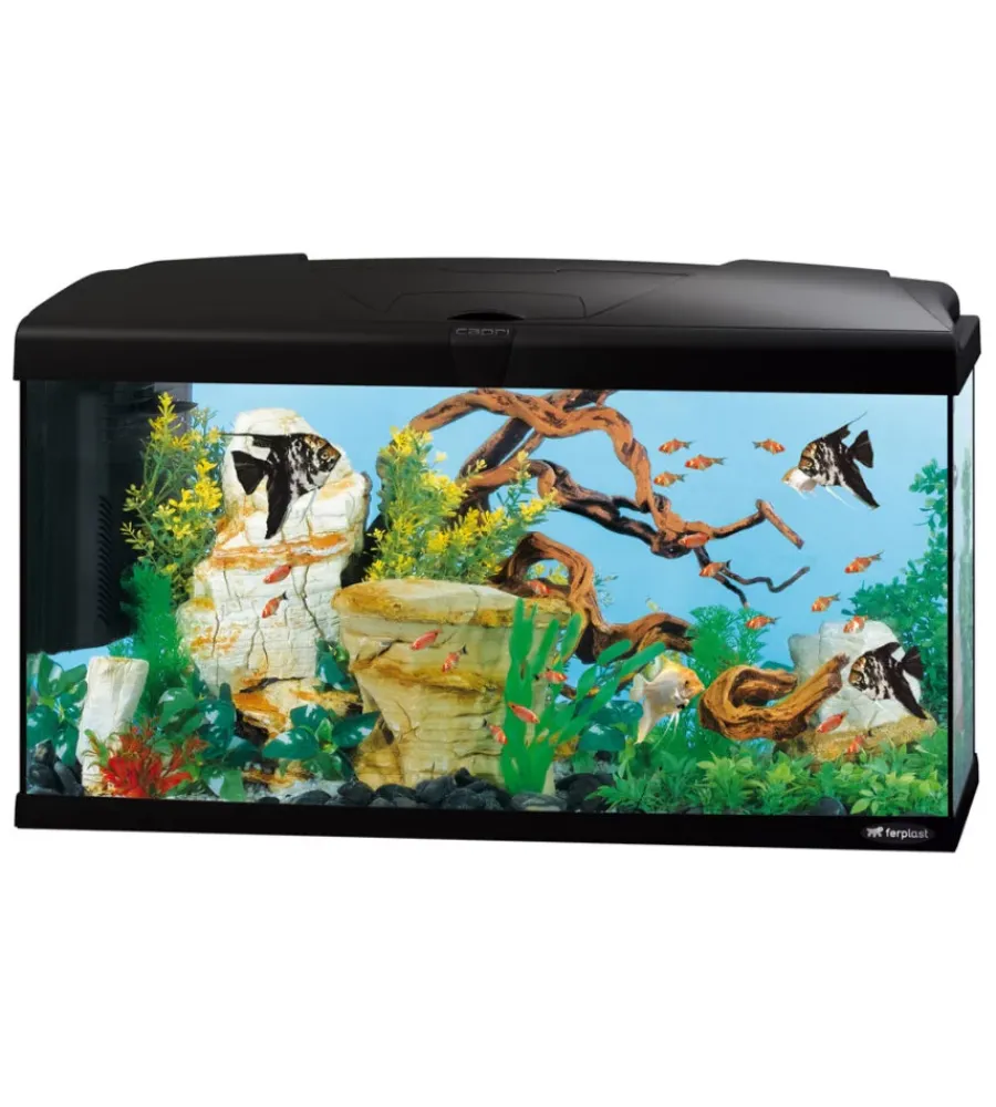 Acquariologia-Ferplast Acquario capri 80 nero con led - 80 x 31.5 x h 46.5 cm, 100 l -