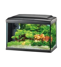 Acquariologia-Ferplast Acquario cayman 40 classic nero - 62,5 x 34,5 x h 45,5 cm - 75 l -