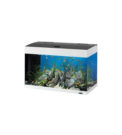 New Acquario dubai 80 bianco con led - 81 x 36 x h 51 cm, 125 l - Acquariologia