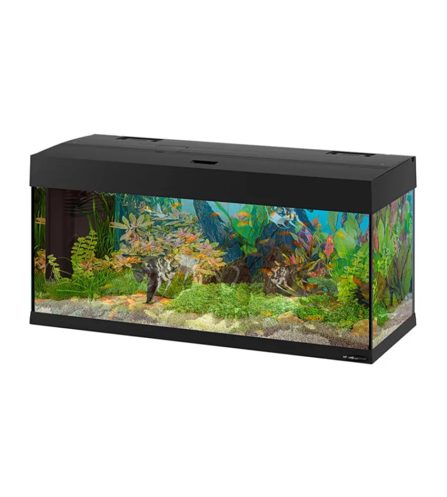 Acquariologia-Ferplast Acquario dubai 100 nero con led -101 x 41 x h 53 cm - 190 l -