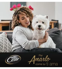 Best Alimento umido cane cesar