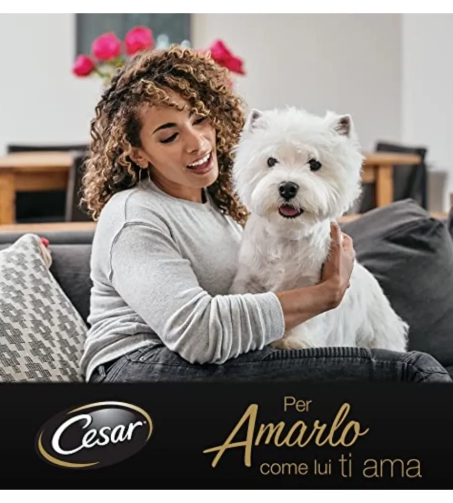 Best Alimento umido cane cesar "ricette classiche" con manzo e pollo 150 gr Alimenti Umido Cane
