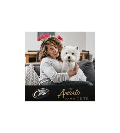 Alimenti Umido Cane|Alimento umido per cani cesar con vitello e tacchino 150 gr