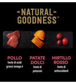 Alimenti Umido Cane|Alimento umido per cani cesar con pollo, patate e piselli 400 gr
