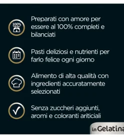 Discount Alimento umido per cani cesar in gelatina 4 pz Alimenti Umido Cane