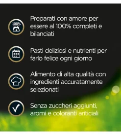 Alimenti Umido Cane|Alimento umido per cani cesar con pollo e carotine 150 gr