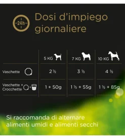 Alimenti Umido Cane|Alimento umido per cani cesar con pollo e carotine 150 gr