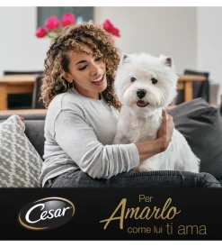 Alimenti Umido Cane|Alimento umido per cani cesar con pollo e carotine 150 gr