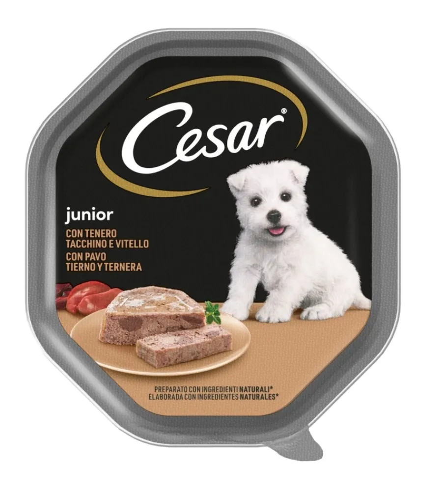 Alimenti Umido Cane- Alimento umido per cani junior cesar con tacchino e vitello 150 gr