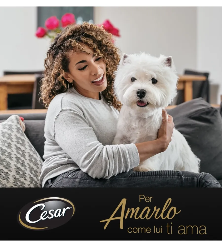 Alimenti Umido Cane- Alimento umido per cani junior cesar con tacchino e vitello 150 gr