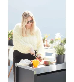 New Armadio con piano da lavoro per barbecue "buddy" in acciaio inox, 84x46x90 cm Barbecue