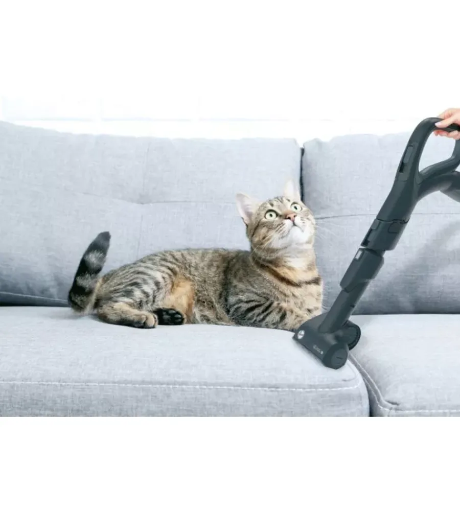 Best Aspirapolvere a traino senza sacco "h-power 700" hoover Aspirazione