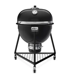 Sale Barbecue a carbone "summit kamado e6" con griglia 61 cm Barbecue