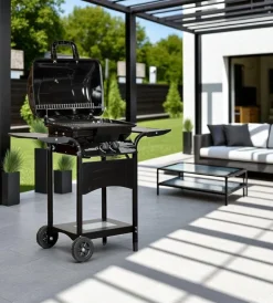 Barbecue-Arnold Barbecue a gas