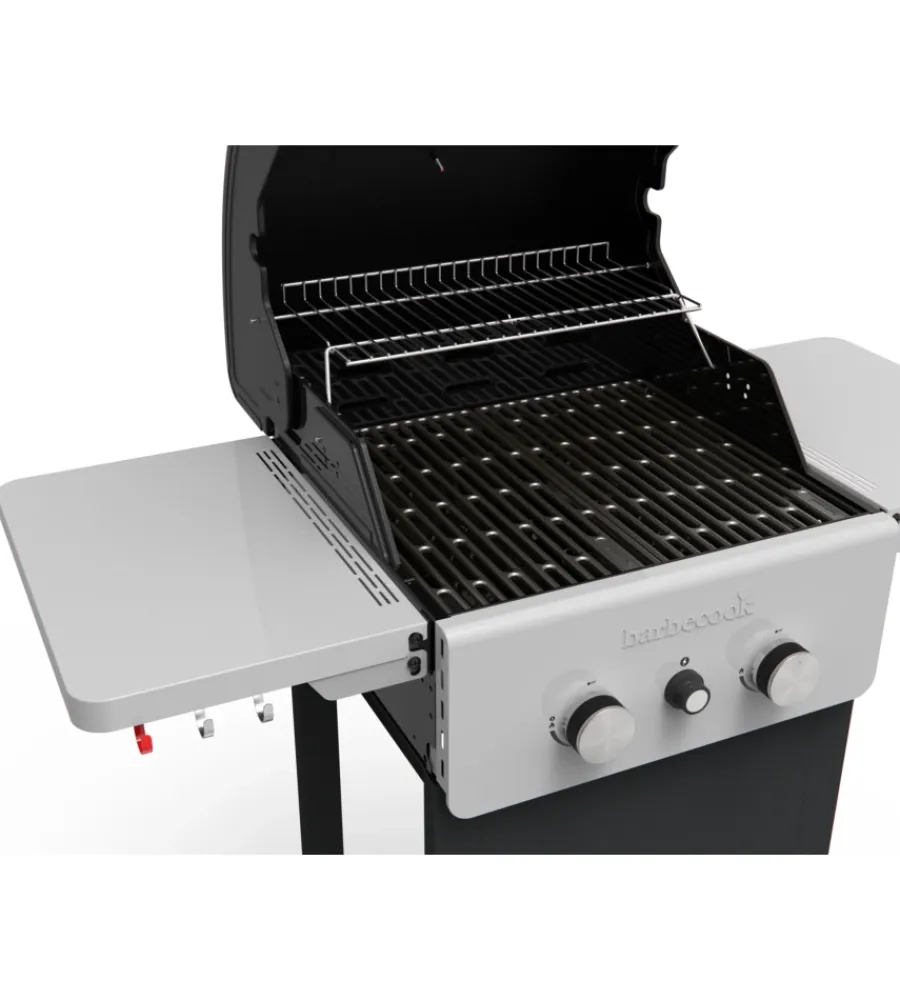 Barbecue-Barbecook Barbecue a gas "spring 2002" 2 bruciatori