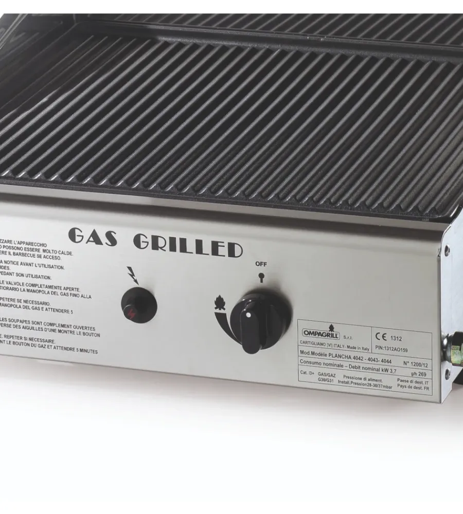 Barbecue-Ompagrill Barbecue a gas con plancha doppia e coperchio 2 bruciatori