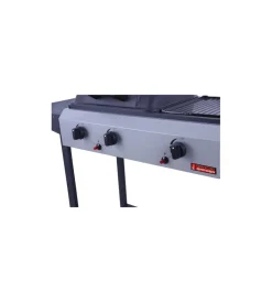 Sandrigarden Barbecue|Barbecue a gas