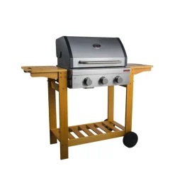 Sandrigarden Barbecue|Barbecue a gas
