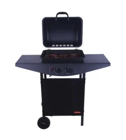 Sale Barbecue a gas