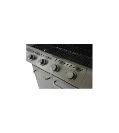 Barbecue-Sandrigarden Barbecue a gas