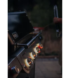 Barbecue-Weber Barbecue a gas