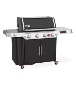 Barbecue-Weber Barbecue a gas
