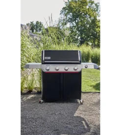 Online Barbecue a gas 