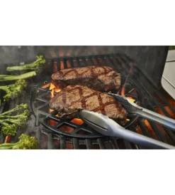 Online Barbecue a gas 
