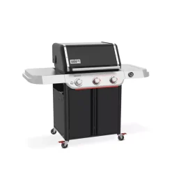 Barbecue-Weber Barbecue a gas