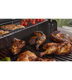 Barbecue-Weber Barbecue a gas