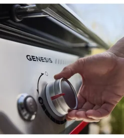 Weber Barbecue|Barbecue a gas
