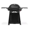Discount Barbecue a gas "q3200n+ con carrello 2 bruciatori Barbecue