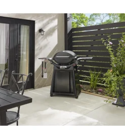 Discount Barbecue a gas