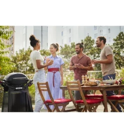 Discount Barbecue a gas