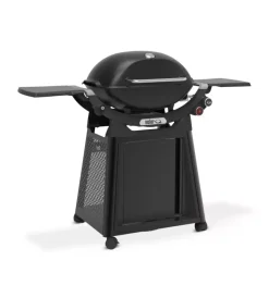 Discount Barbecue a gas