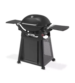 Discount Barbecue a gas