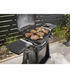 Discount Barbecue a gas