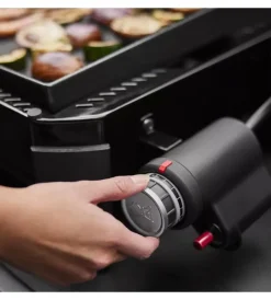Weber Barbecue|Barbecue a gas
