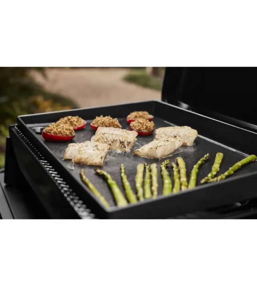 Barbecue-Weber Barbecue a gas "slate" 2 bruciatori