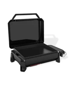 Barbecue-Weber Barbecue a gas