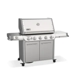 Best Barbecue a gas