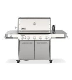 Best Barbecue a gas
